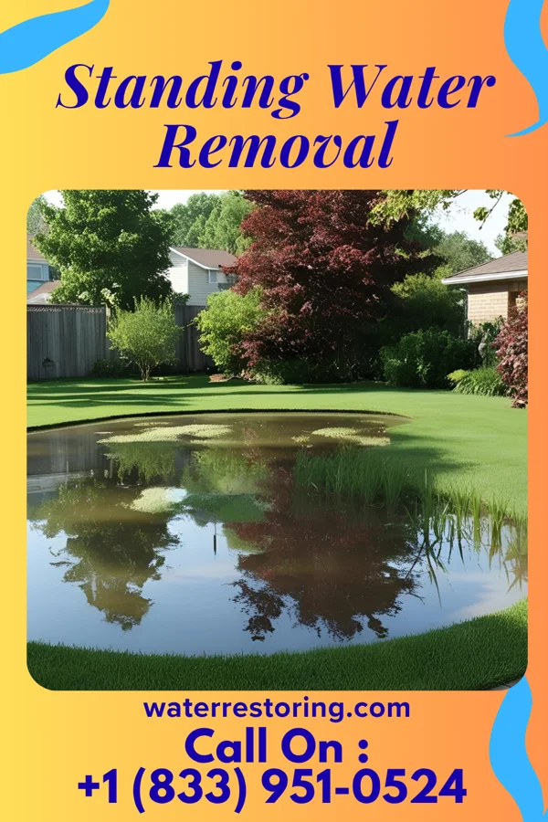 Standing Water Removal in Haverhill, MA